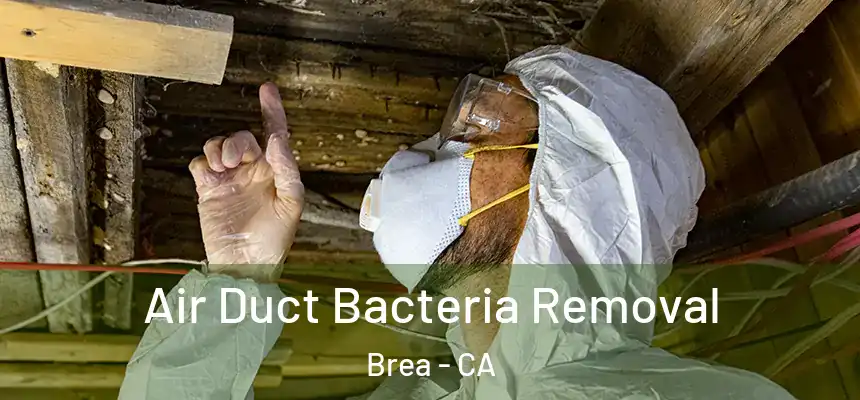  Air Duct Bacteria Removal Brea - CA