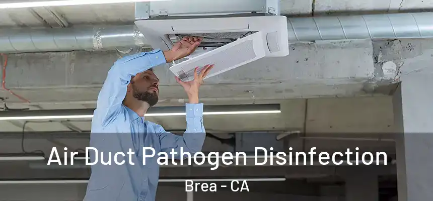  Air Duct Pathogen Disinfection Brea - CA
