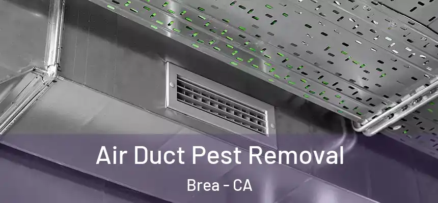  Air Duct Pest Removal Brea - CA
