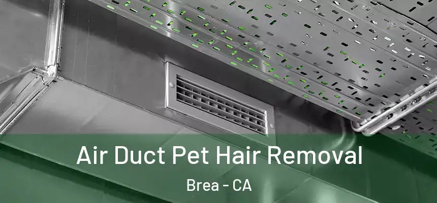  Air Duct Pet Hair Removal Brea - CA