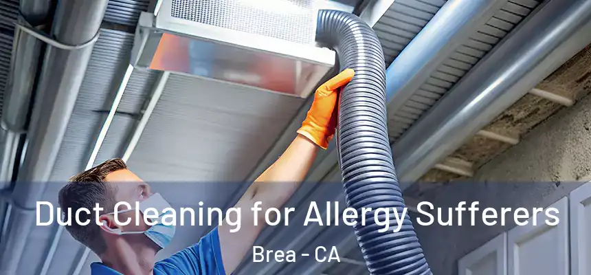 Duct Cleaning for Allergy Sufferers Brea - CA