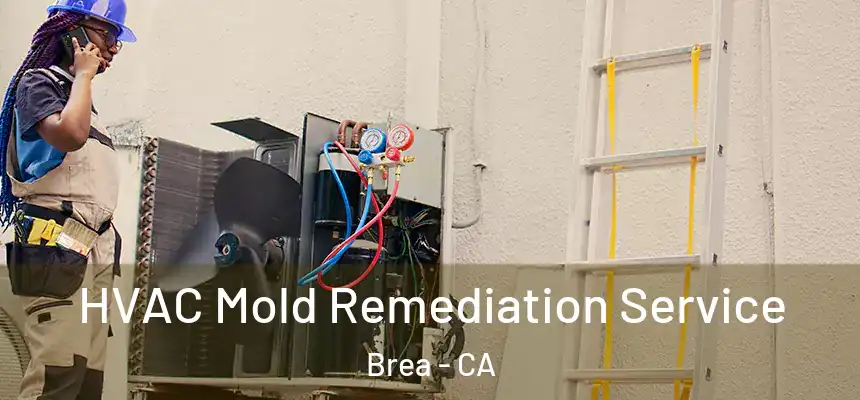  HVAC Mold Remediation Service Brea - CA
