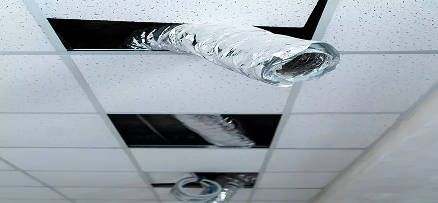 Our Air Duct Pet Hair Removal Services in Brea, CA