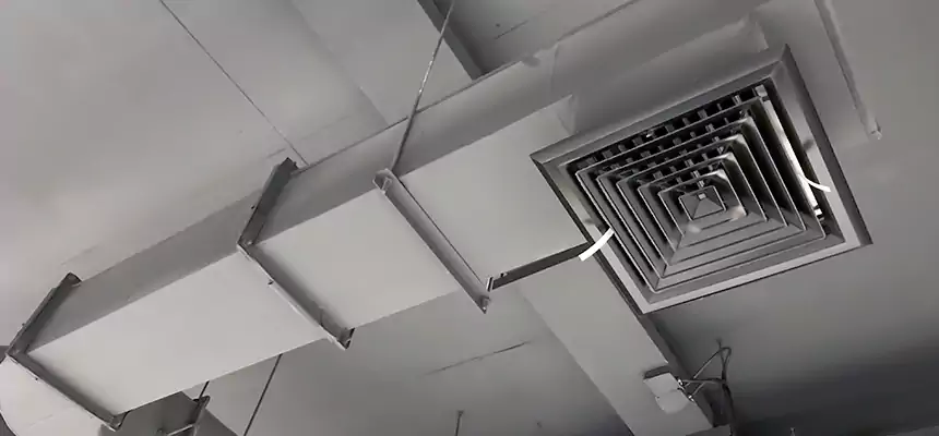 Our Pest Removal From Ducts Services in Brea, CA