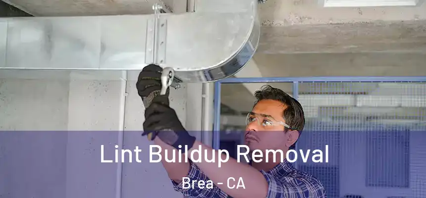  Lint Buildup Removal Brea - CA
