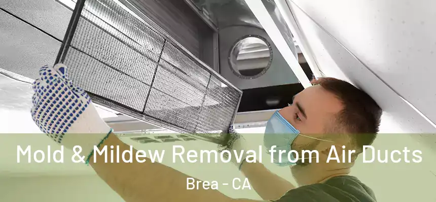  Mold & Mildew Removal from Air Ducts Brea - CA