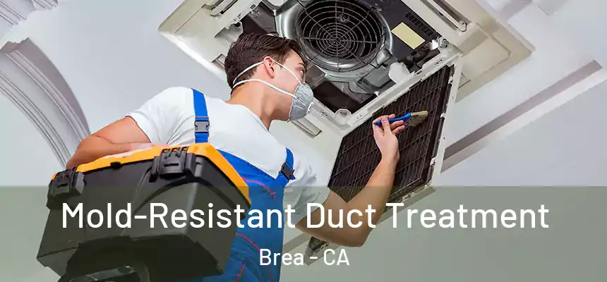  Mold-Resistant Duct Treatment Brea - CA