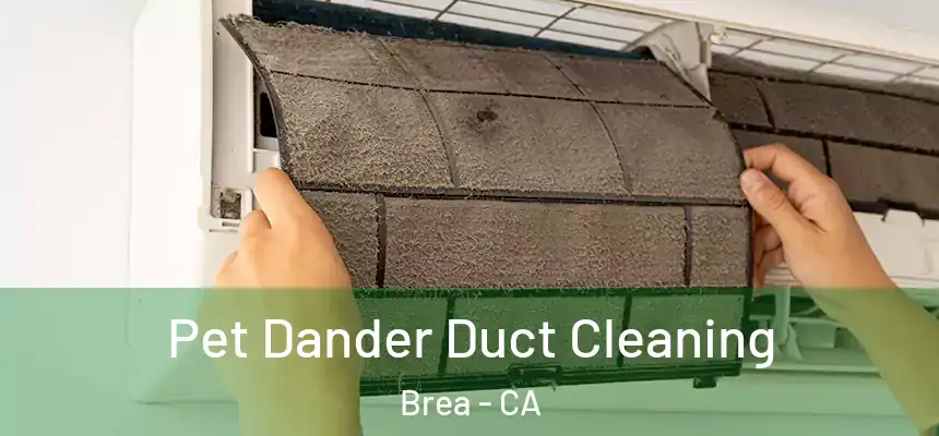  Pet Dander Duct Cleaning Brea - CA