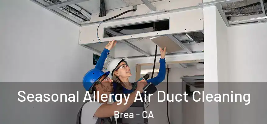 Seasonal Allergy Air Duct Cleaning Brea - CA