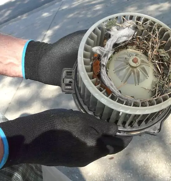 About Air Duct Mice Removal in Brea, CA