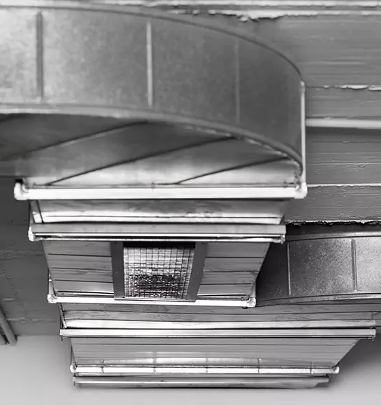 Professional Air Duct Pest Removal in Brea, CA