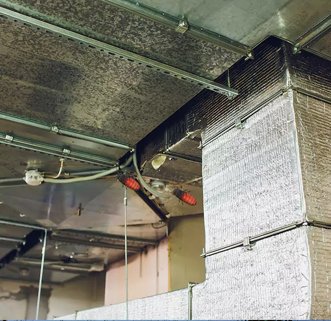 Why Homeowners & Businesses Trust Us in Brea, CA?