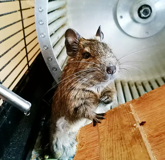 Why Homeowners & Businesses Trust Us Brea, CA?