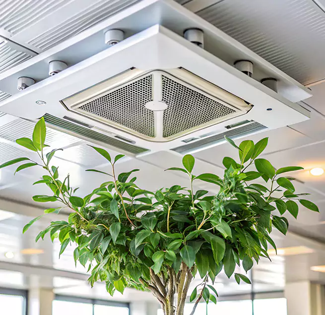 Why Homeowners & Businesses Trust Us in Brea, CA?