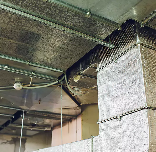 Why Homeowners & Businesses Trust Us in Brea, CA?